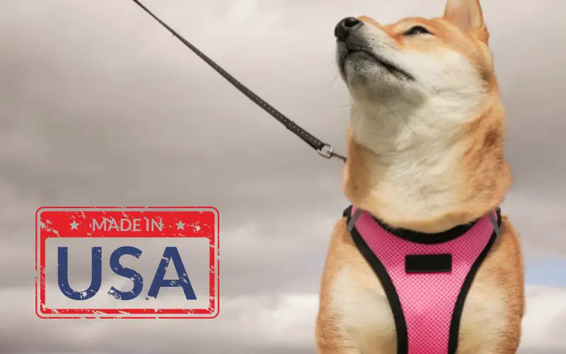 dog_harness_made_in_usa