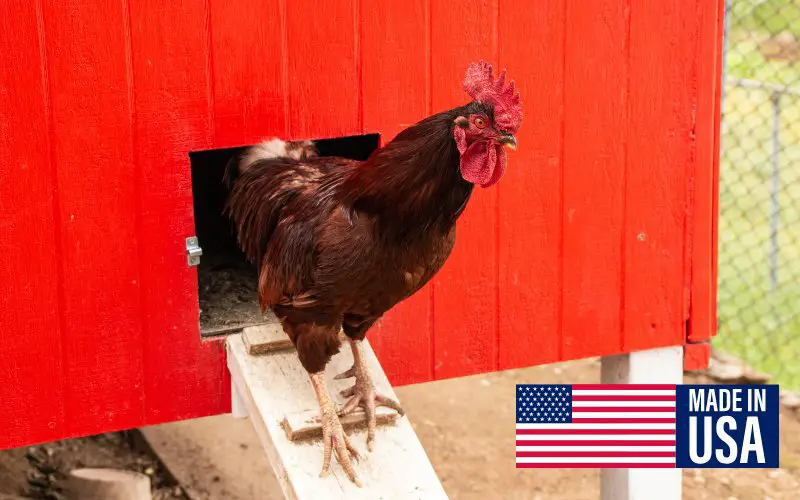 chicken coops made in usa
